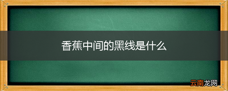 香蕉中间的黑线是什么