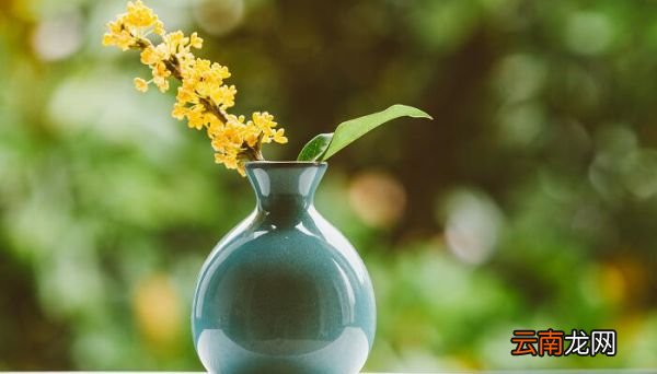 这里的桂花再香也比不上家乡院子里的桂花改为反问句 这里的桂花再香也比不上家乡院子里的桂花如何改为反问句
