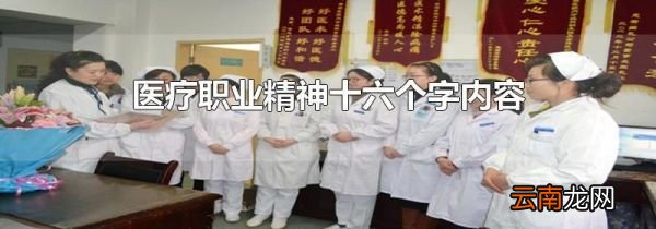 医疗职业精神十六个字内容