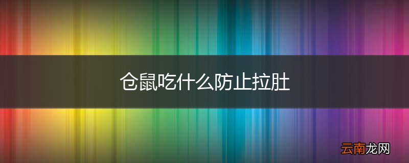 仓鼠吃什么防止拉肚