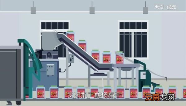 杨梅什么时候上市 杨梅什么时候成熟
