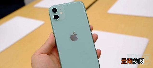 iphone11和xr尺寸