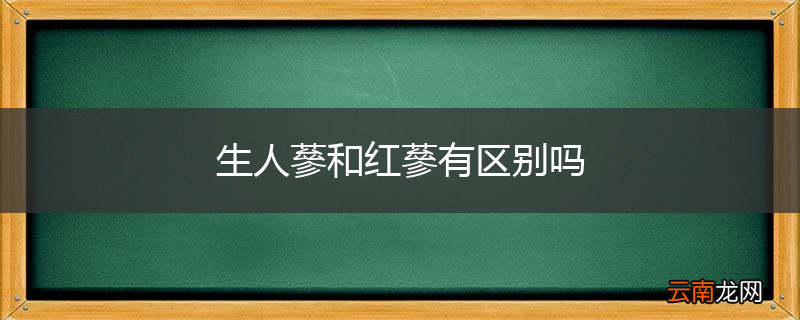 生人蔘和红蔘有区别吗