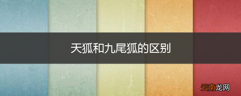 天狐和九尾狐的区别