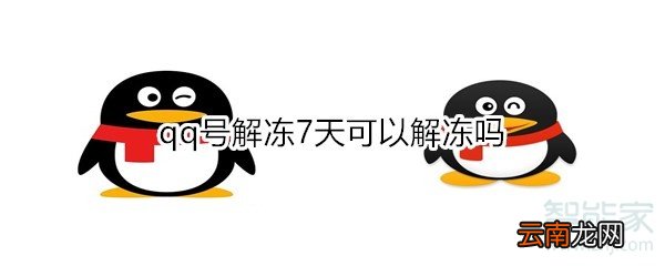 qq号解冻7天可以解冻吗