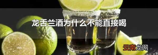 龙舌兰酒为什么不能直接喝