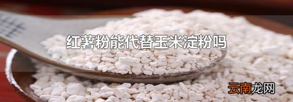 红薯粉能代替玉米淀粉吗