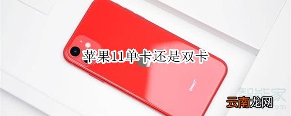 苹果11单卡还是双卡
