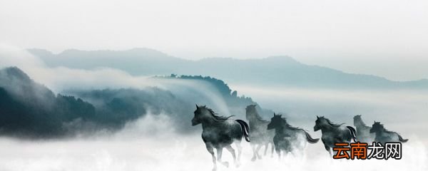 古诗中的银鞍指代什么 古诗中有银鞍的诗句