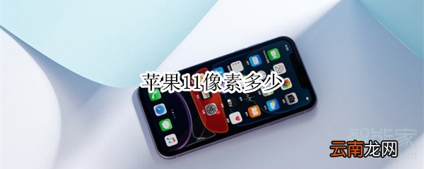 苹果11像素多少