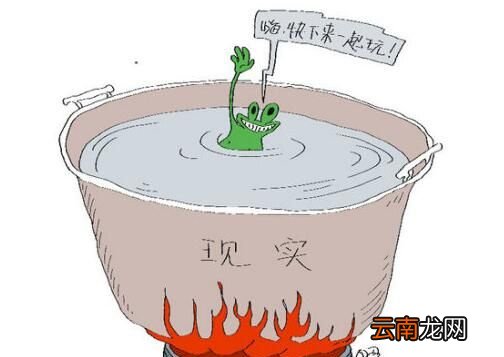 “青蛙效应”是什么意思？