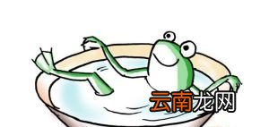 “青蛙效应”是什么意思？