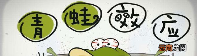 “青蛙效应”是什么意思？