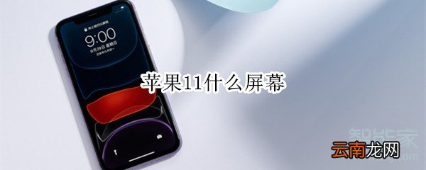 苹果11什么屏幕