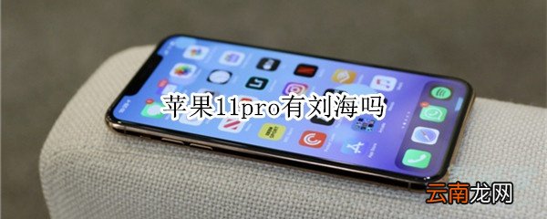 苹果11pro有刘海吗