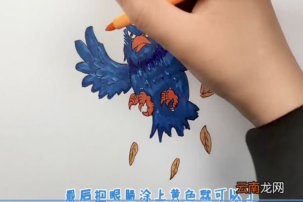 老鹰简笔画