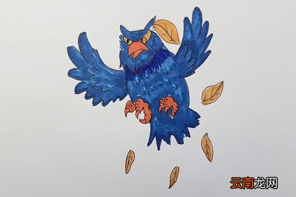老鹰简笔画