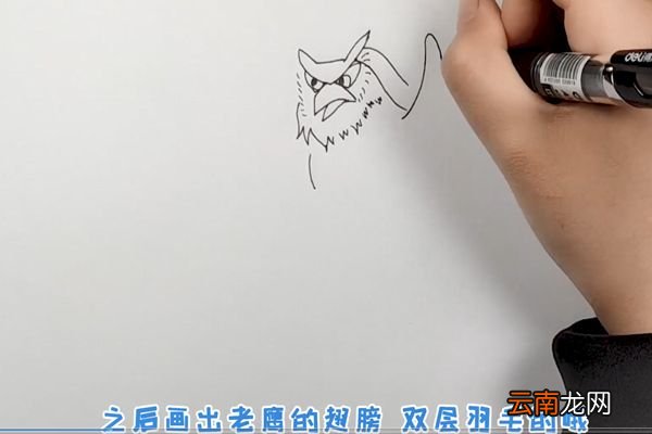 老鹰简笔画