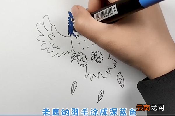 老鹰简笔画