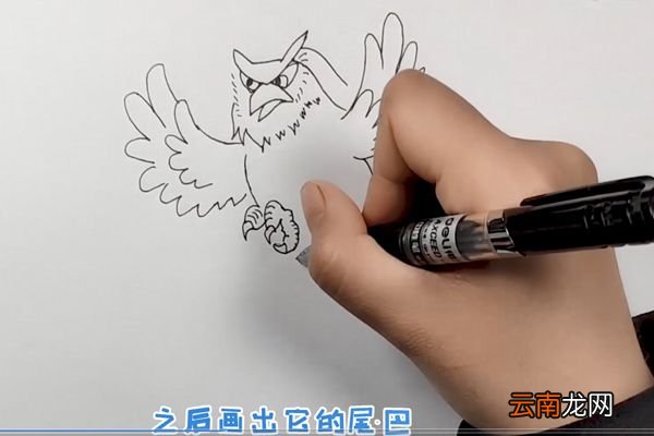 老鹰简笔画
