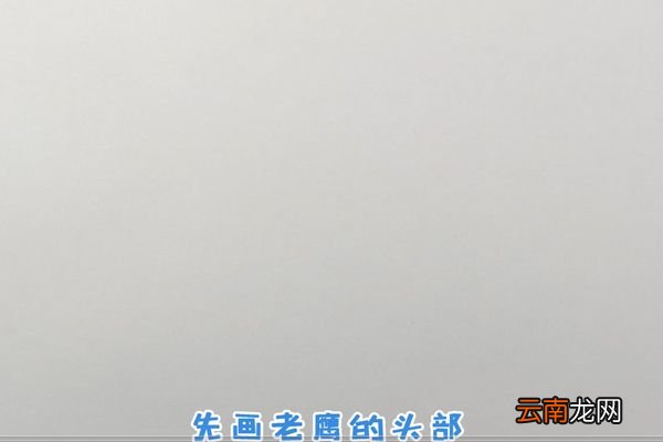 老鹰简笔画