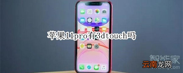 苹果11pro有3dtouch吗