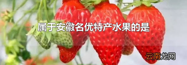 属于安徽名优特产水果的是