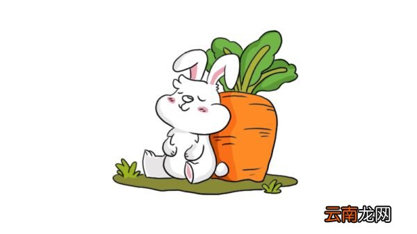 卡通小兔子简笔画图片 小兔子简笔画