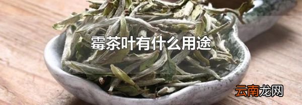 霉茶叶有什么用途