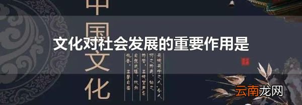文化对社会发展的重要作用是