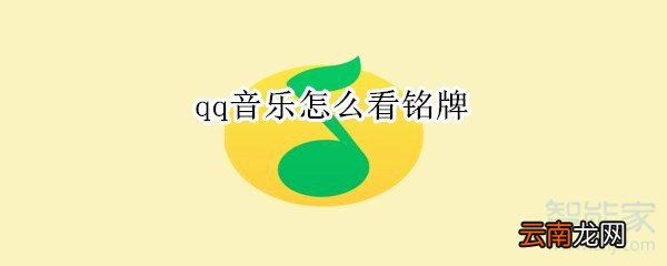 qq音乐怎么看铭牌