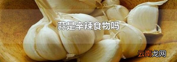 蒜是辛辣食物吗