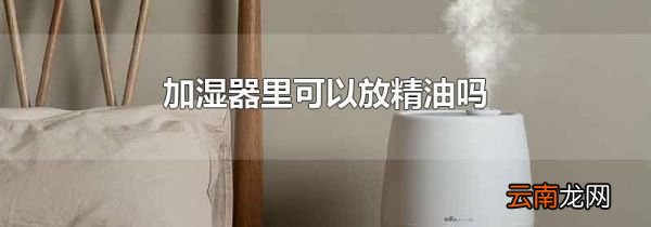 加湿器里可以放精油吗