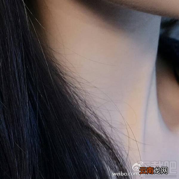 美图m6s和华为nova哪个好？华为nova和美图m6s区别对比评测
