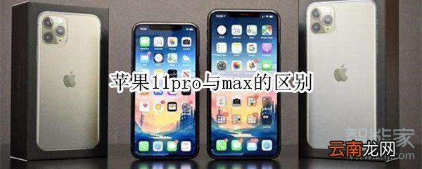苹果11pro与max的区别