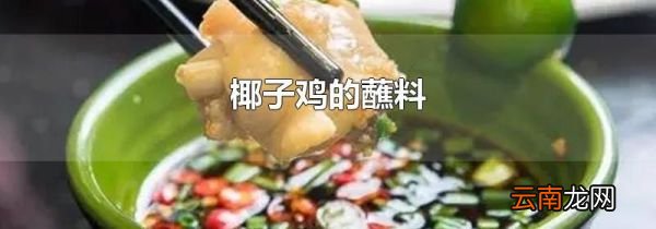 椰子鸡的蘸料