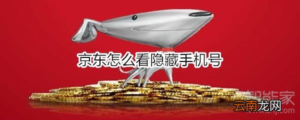京东怎么看隐藏手机号