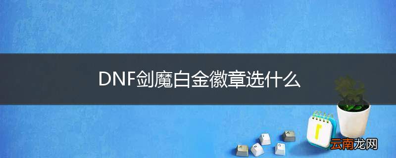 DNF剑魔白金徽章选什么