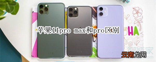 苹果11pro max和pro区别