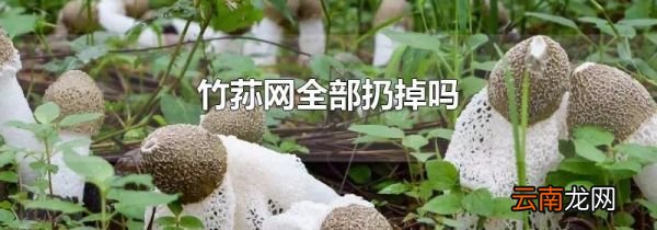 竹荪网全部扔掉吗