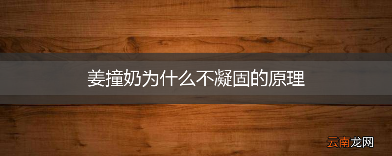 姜撞奶为什么不凝固的原理