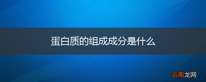 蛋白质的组成成分是什么