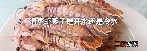 清蒸虾爬子是开水还是冷水