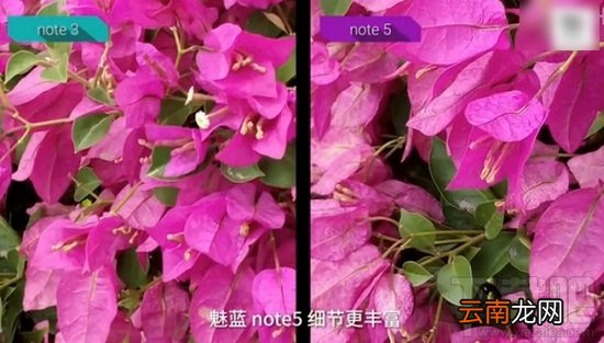 魅蓝note5和魅蓝note3哪个好 魅蓝note5和note3区别对比