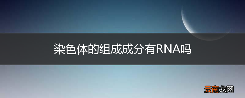 染色体的组成成分有RNA吗
