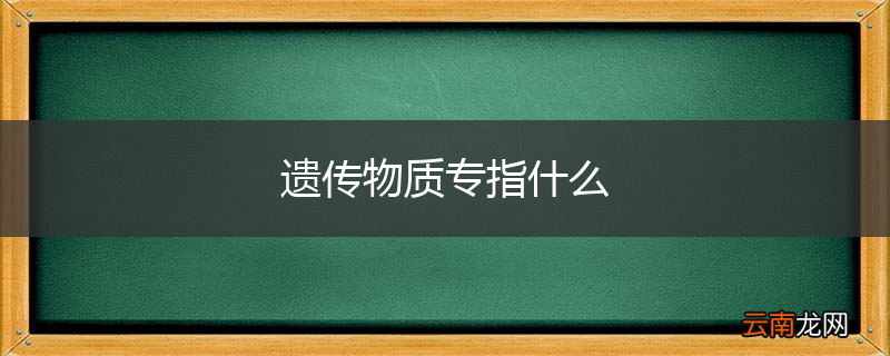 遗传物质专指什么