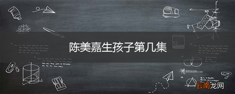 陈美嘉生孩子第几集