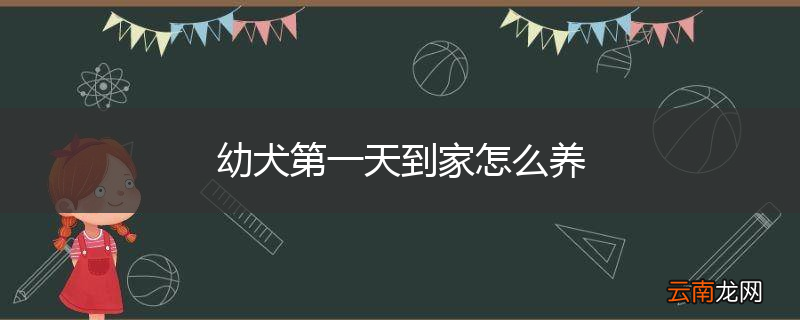 幼犬第一天到家怎么养