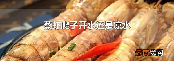 蒸虾爬子开水还是凉水