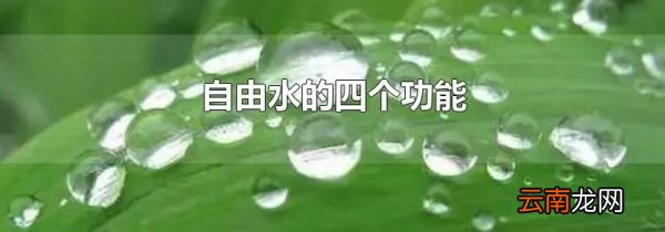 自由水的四个功能